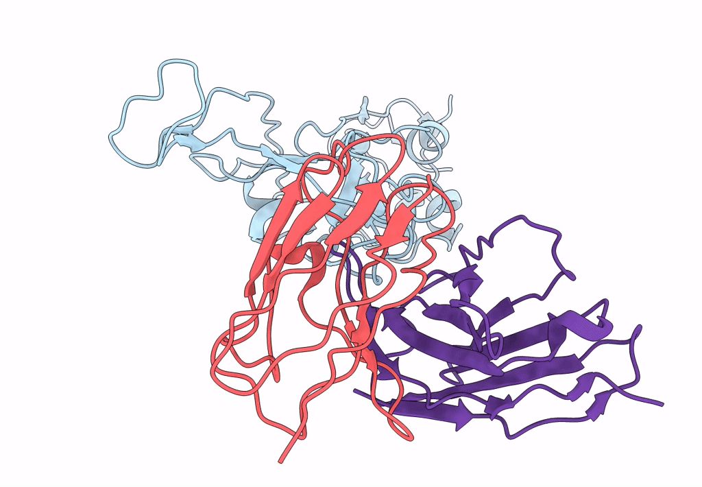 7CYH image