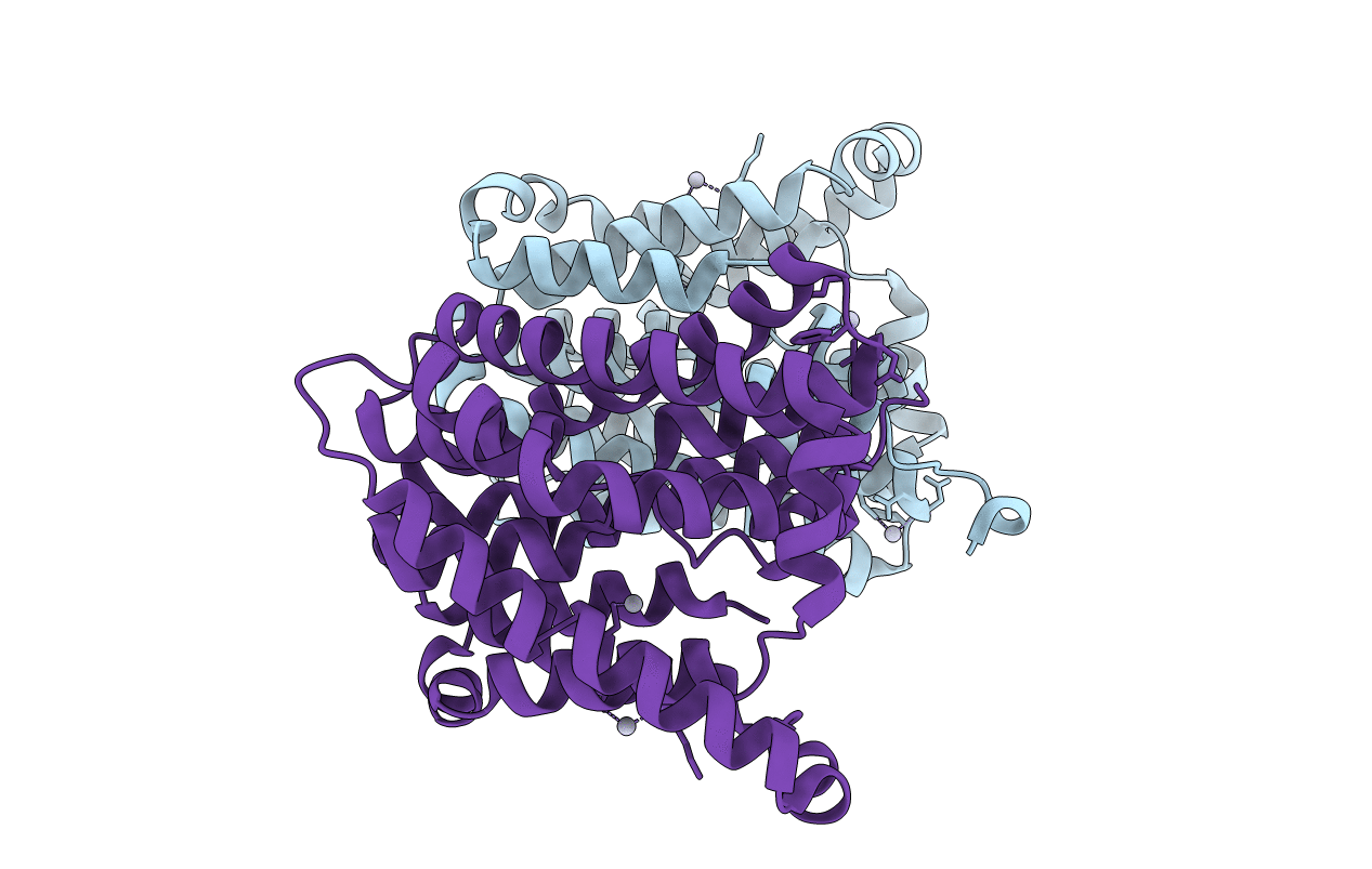 7CYK image