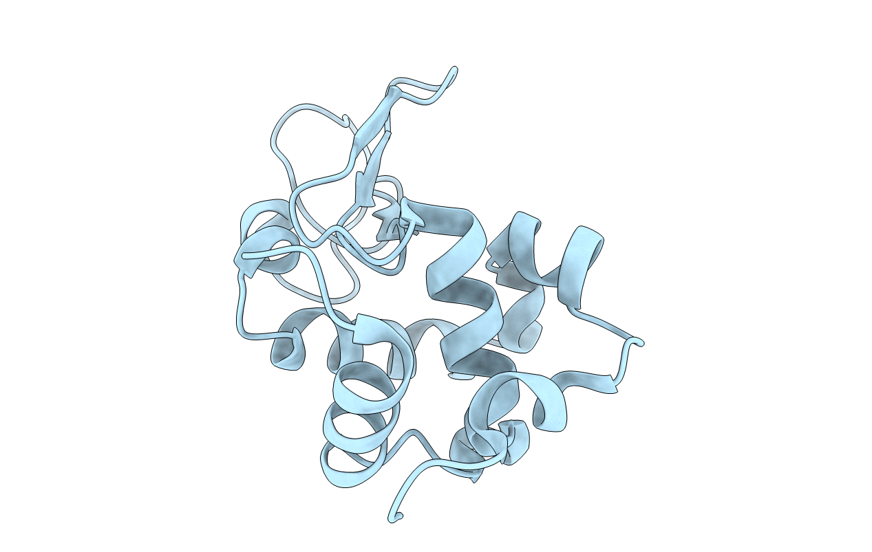 7D04 image