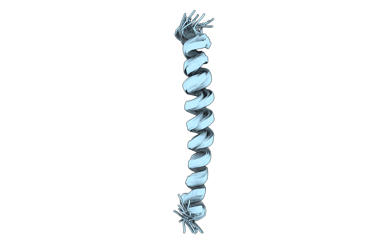 7D13 image