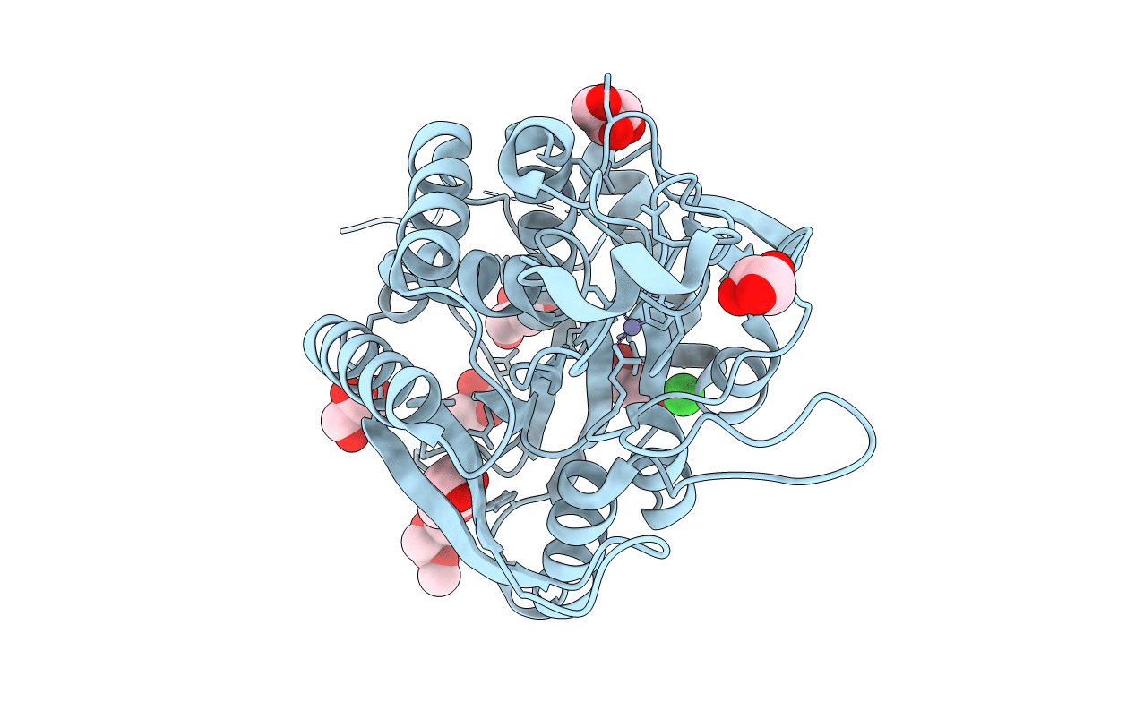 7D1B image