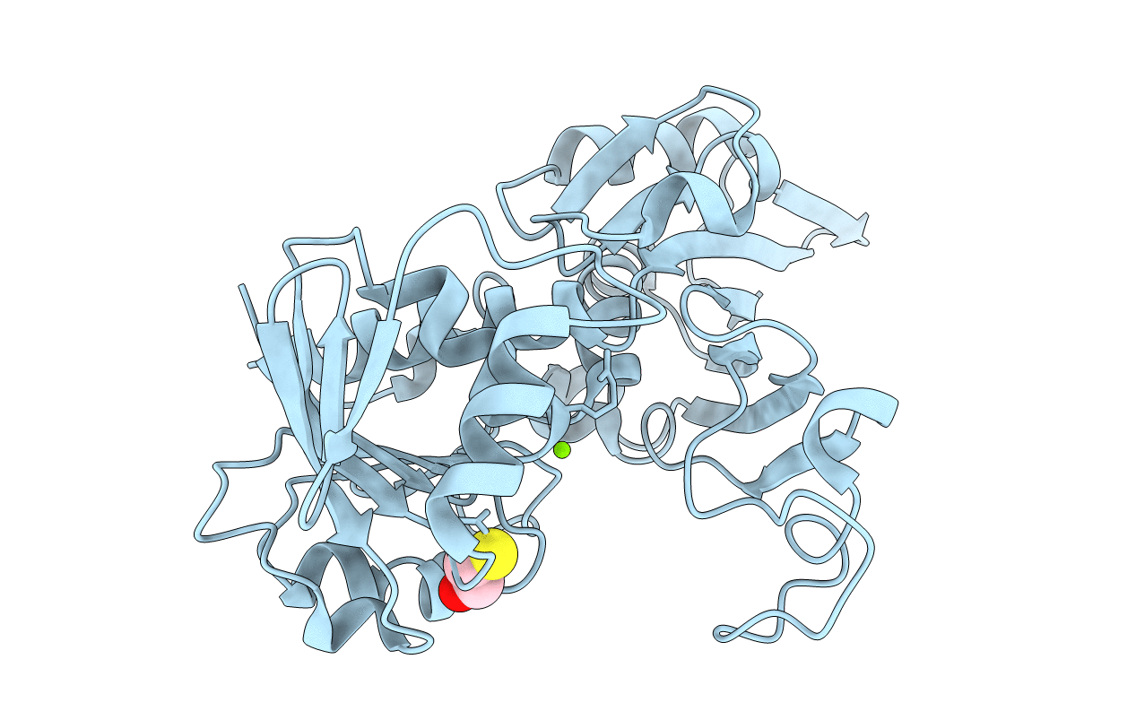 7D1G image