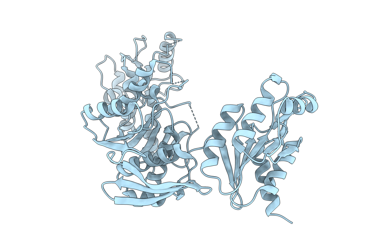 7D27 image