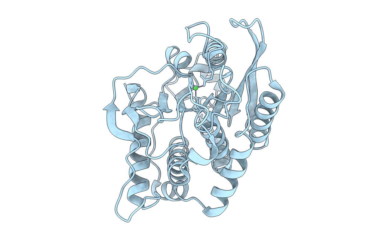 7D2B image