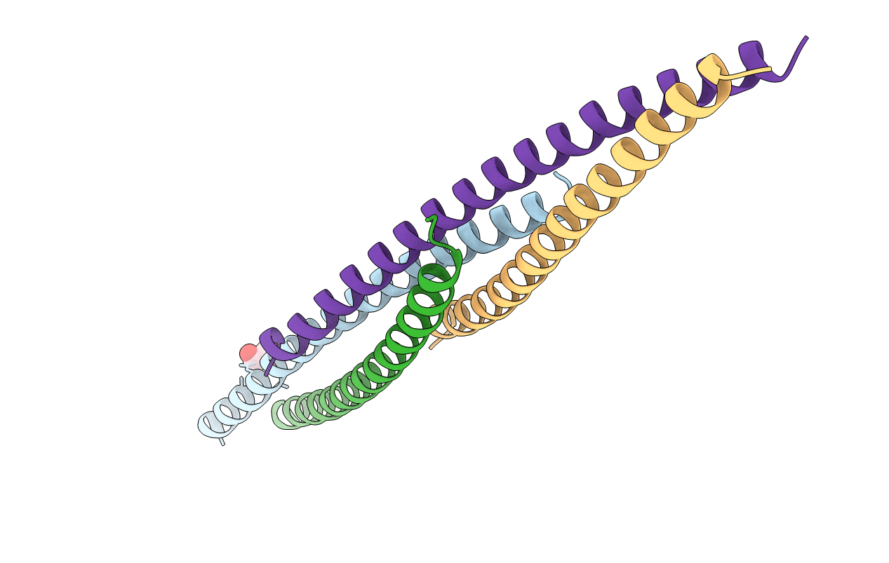 7D2H image