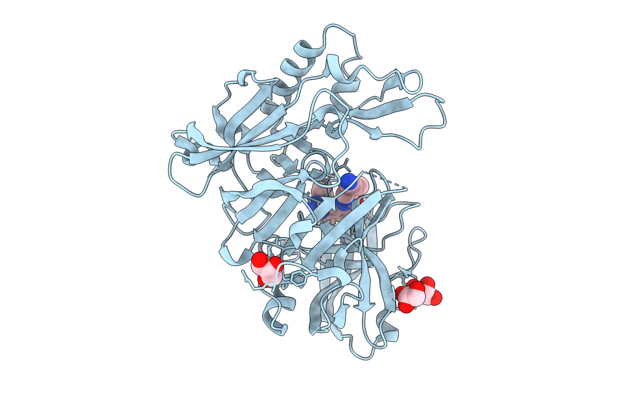 7D36 image