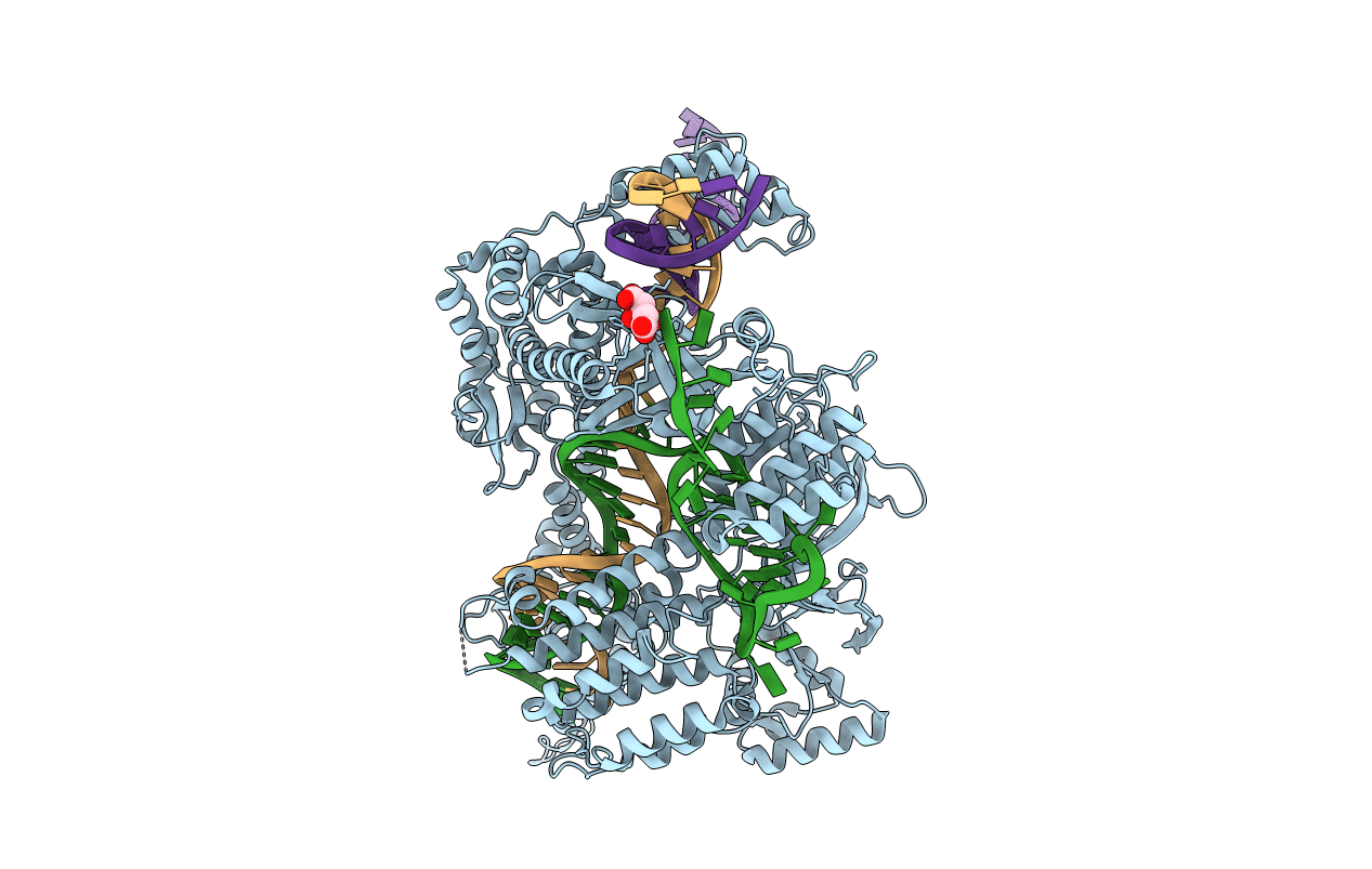 7D3J image