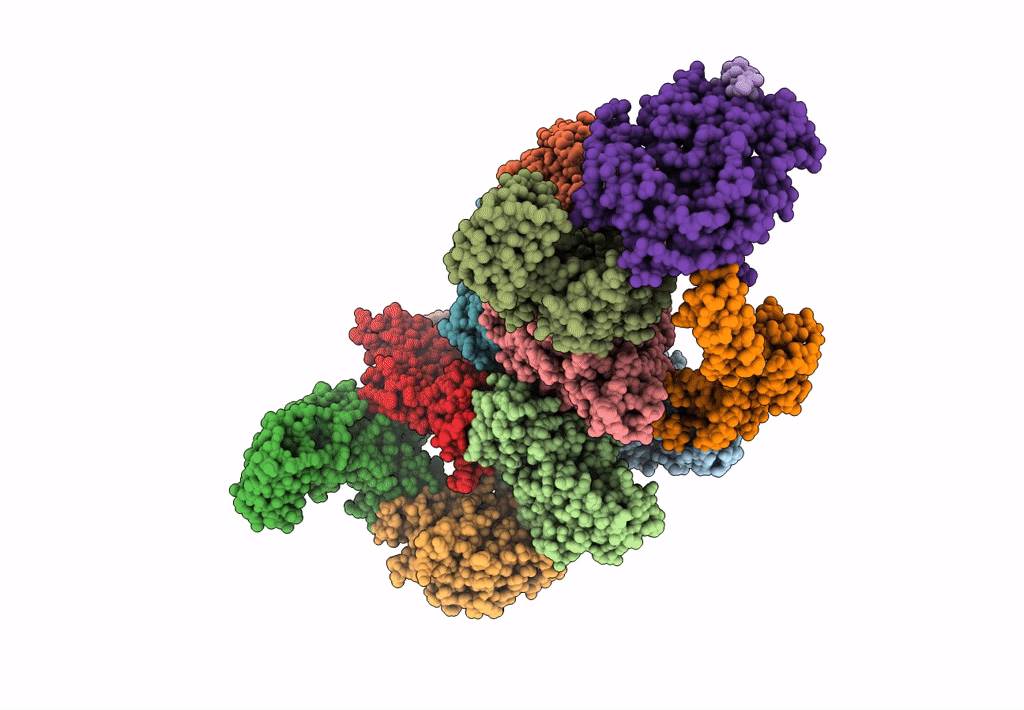7D43 image