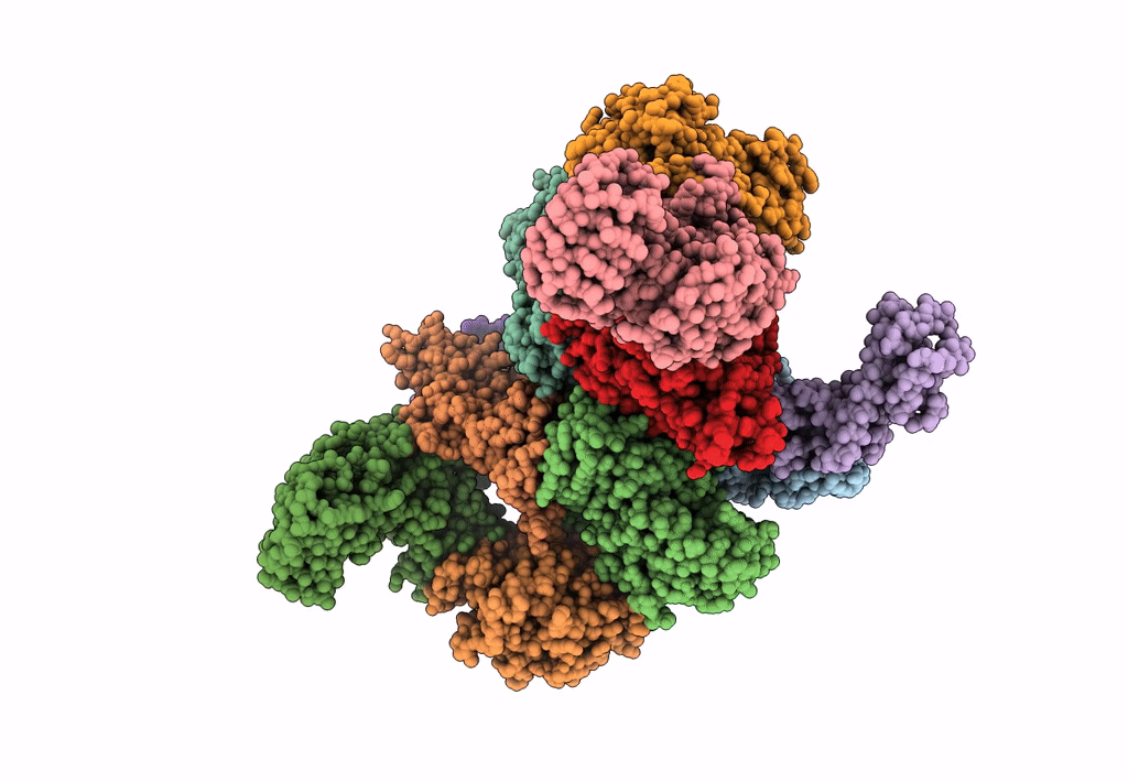 7D44 image
