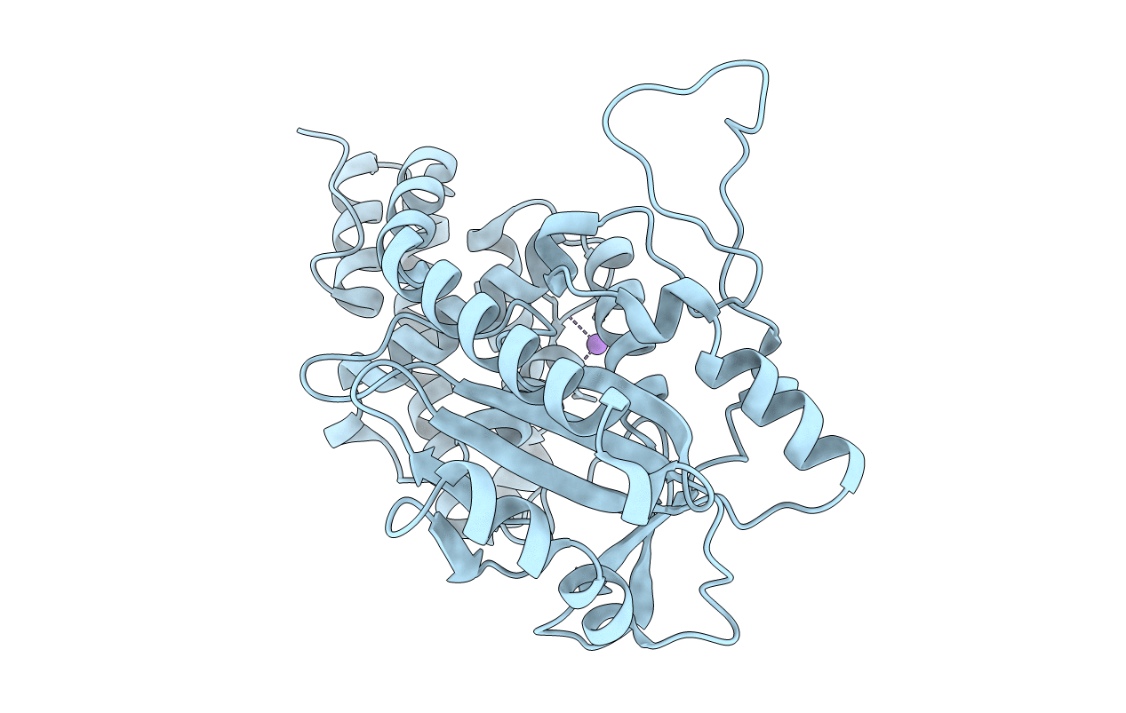 7D48 image