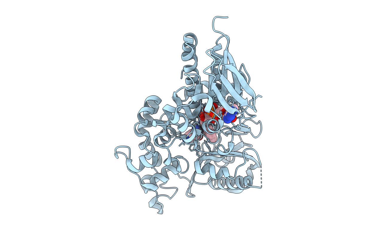 7D4D image
