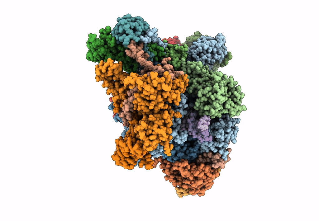 7D58 image