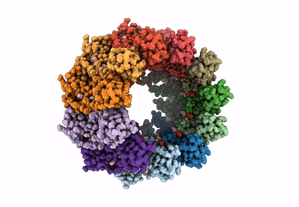 7D61 image