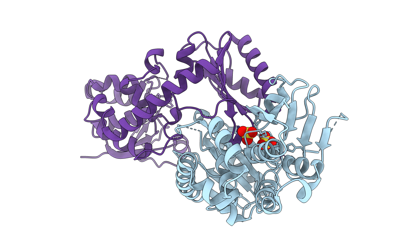 7D62 image