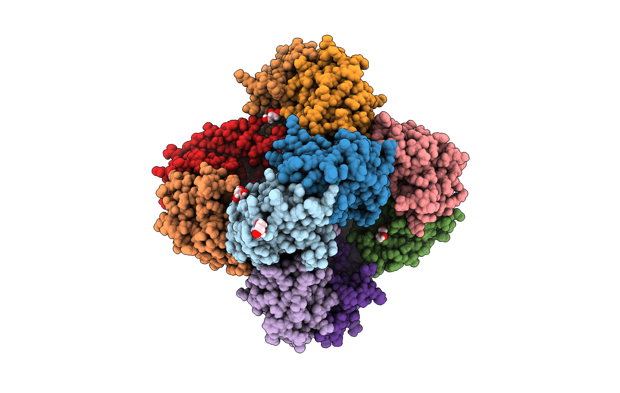 7D66 image