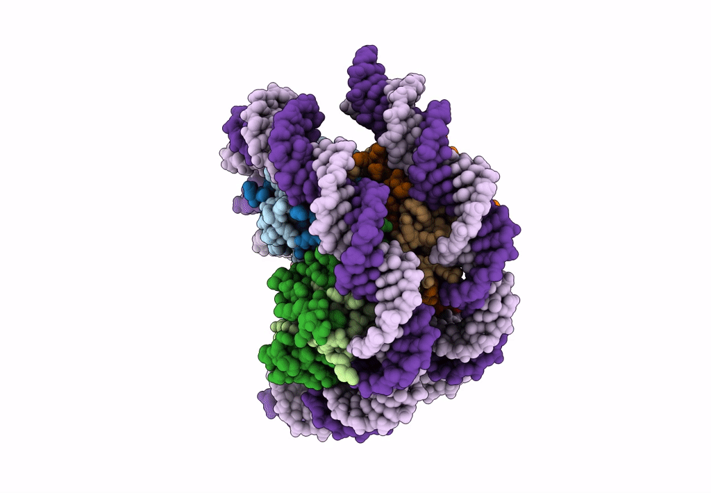 7D69 image