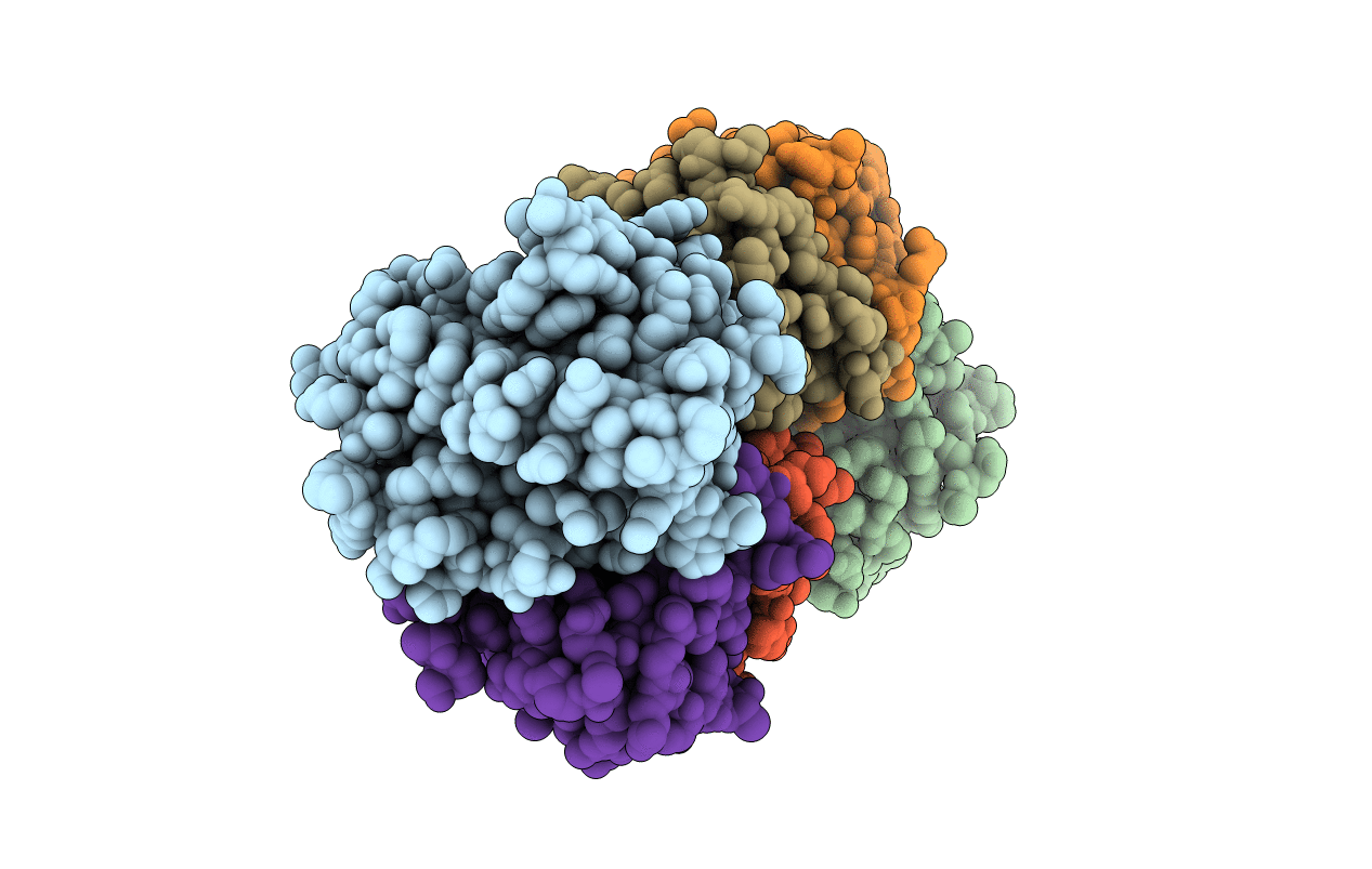 7D6C image
