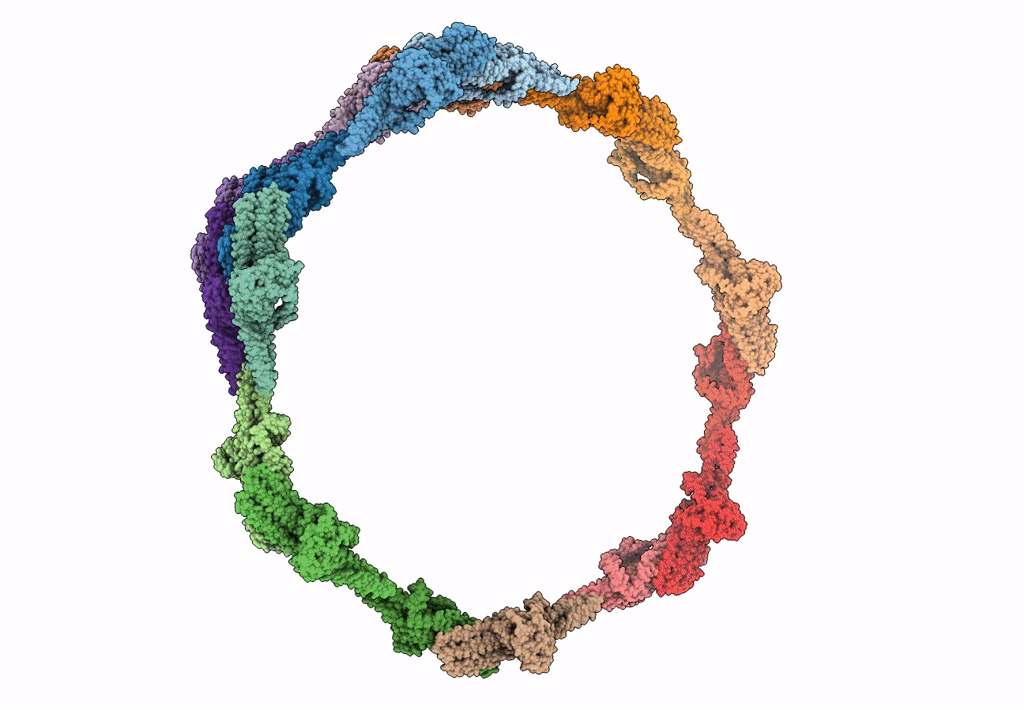 7D6E image