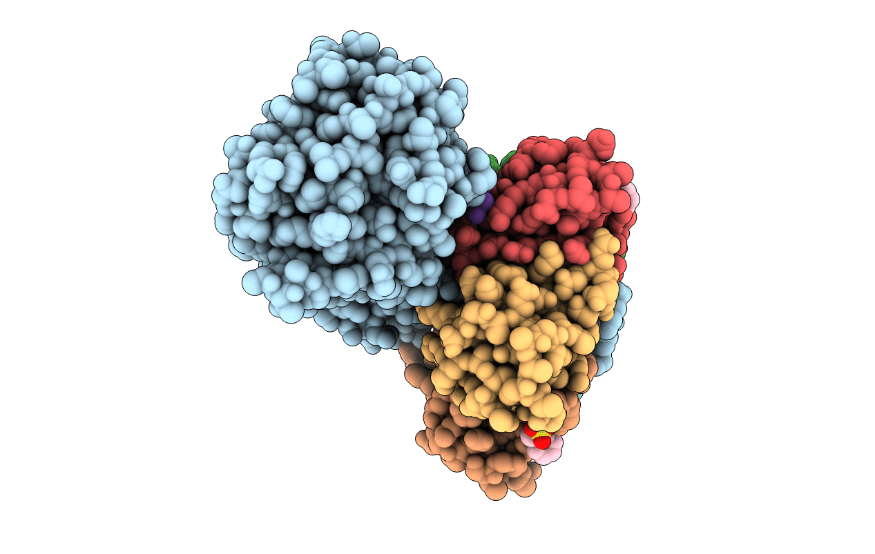 7D6R image
