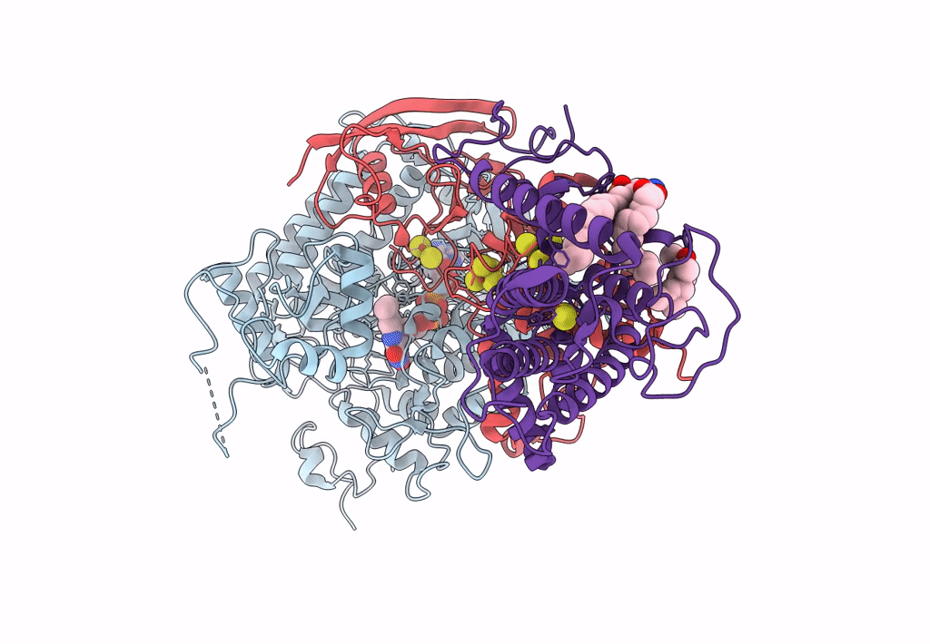7D6V image