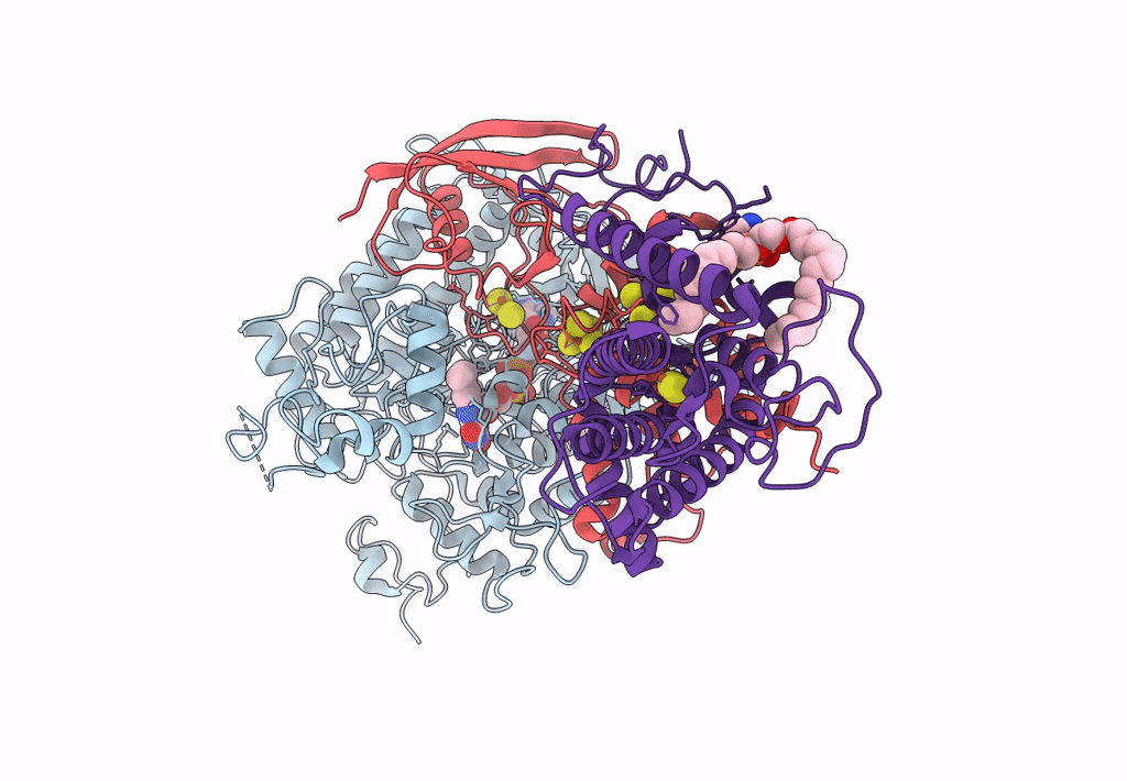 7D6X image