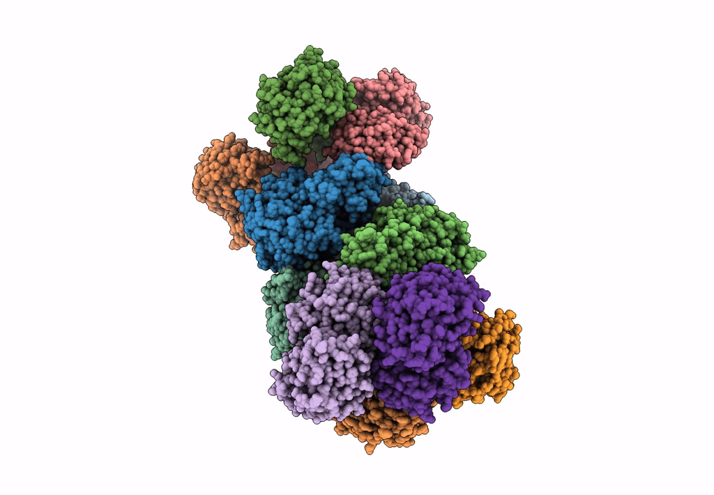 7D74 image