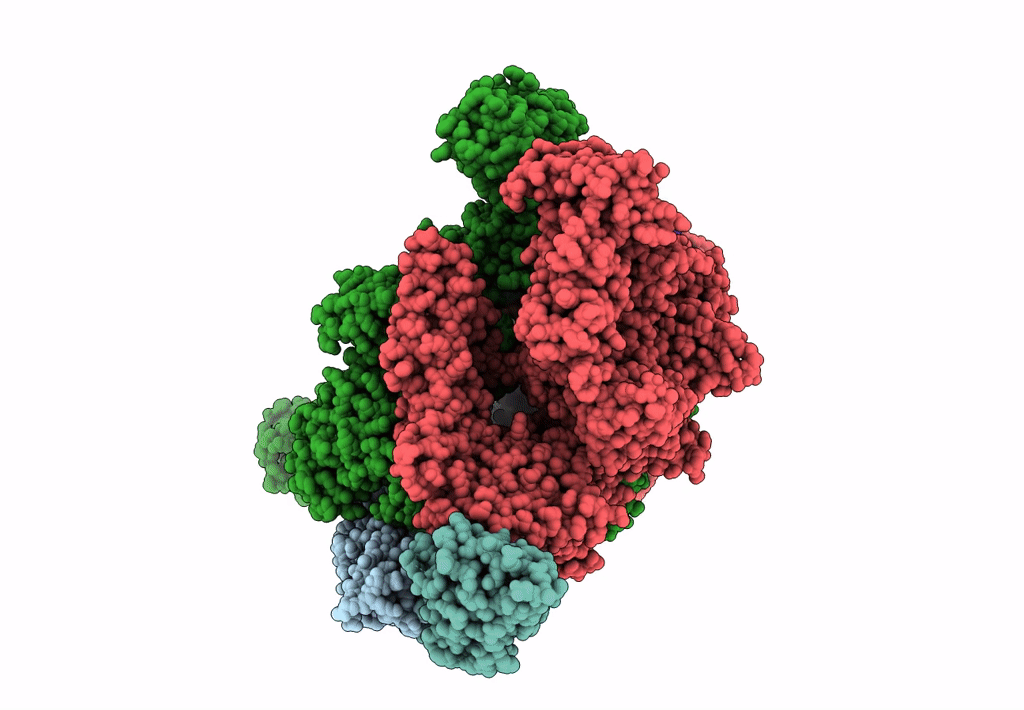 7D7C image