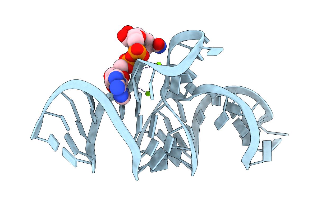 7D81 image