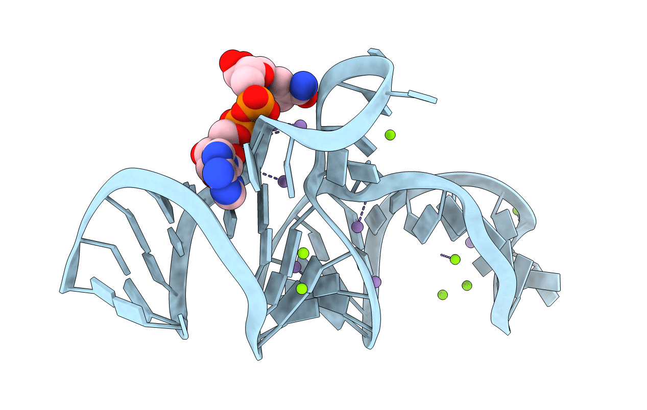 7D82 image