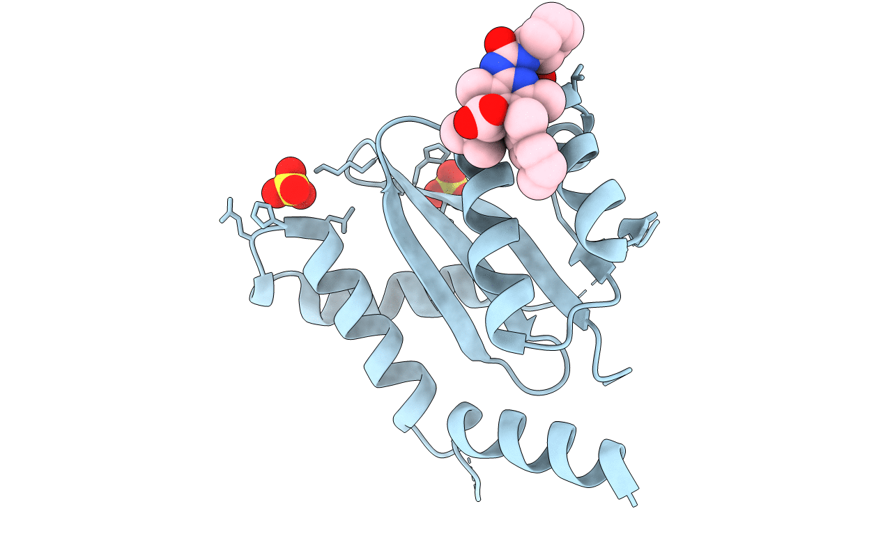 7D83 image