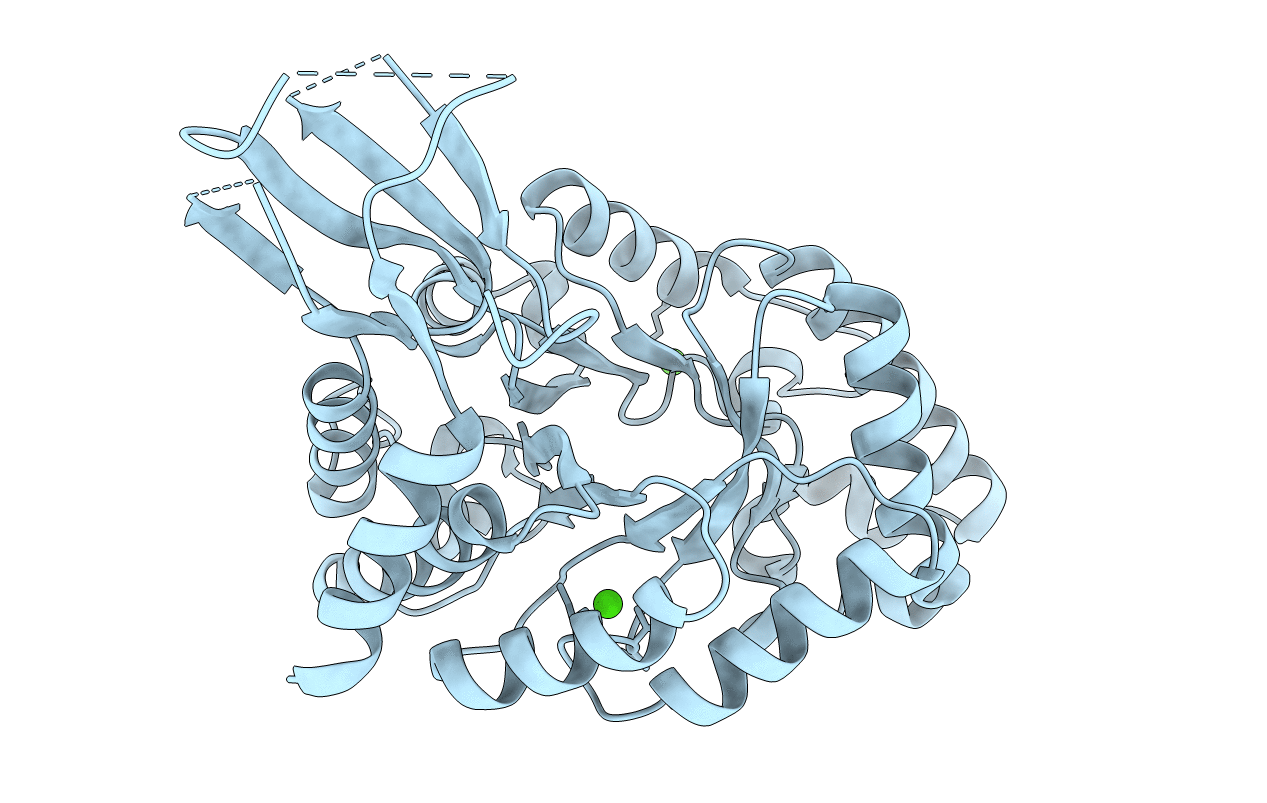 7D89 image