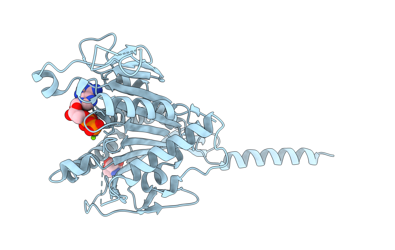 7D8V image