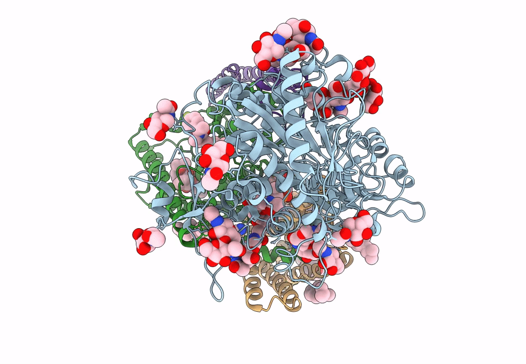 7D8X image