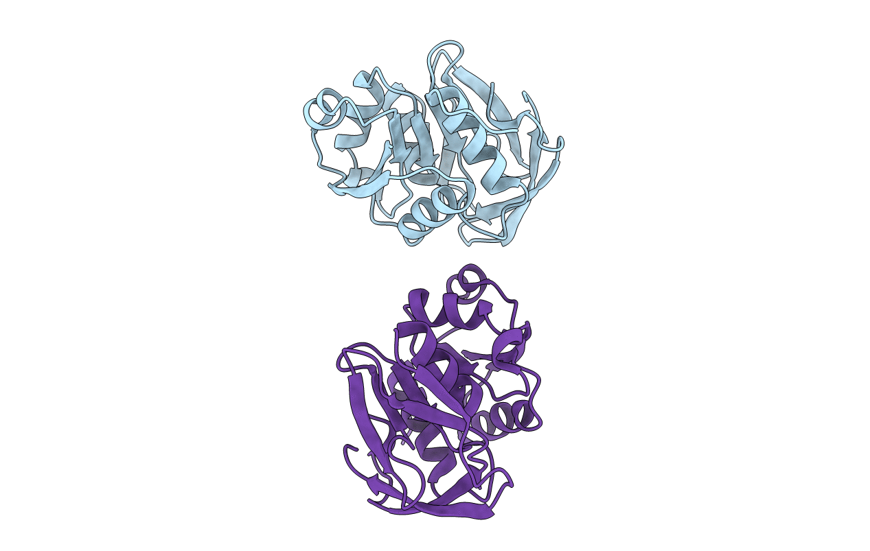 7D95 image