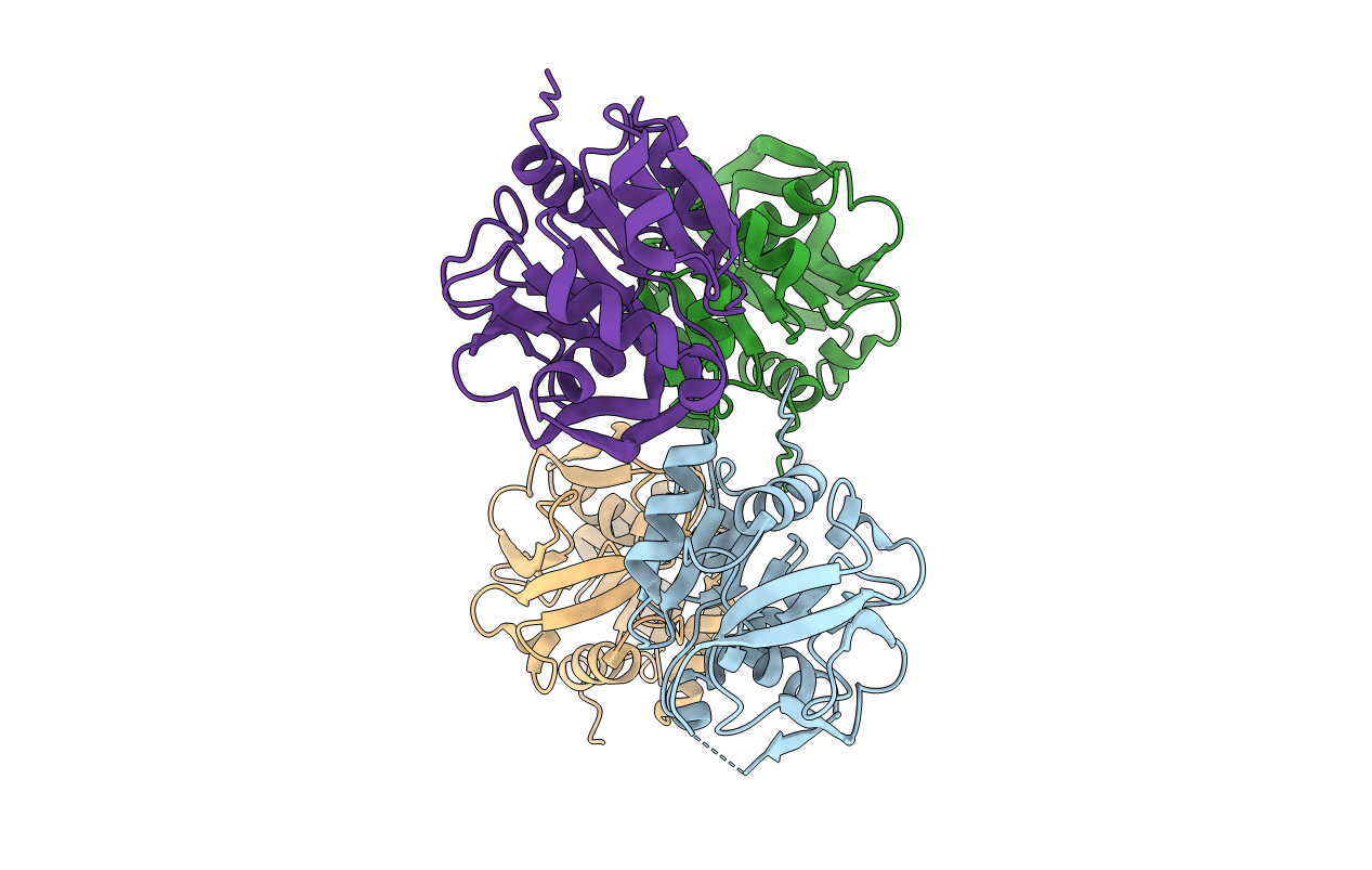 7D97 image