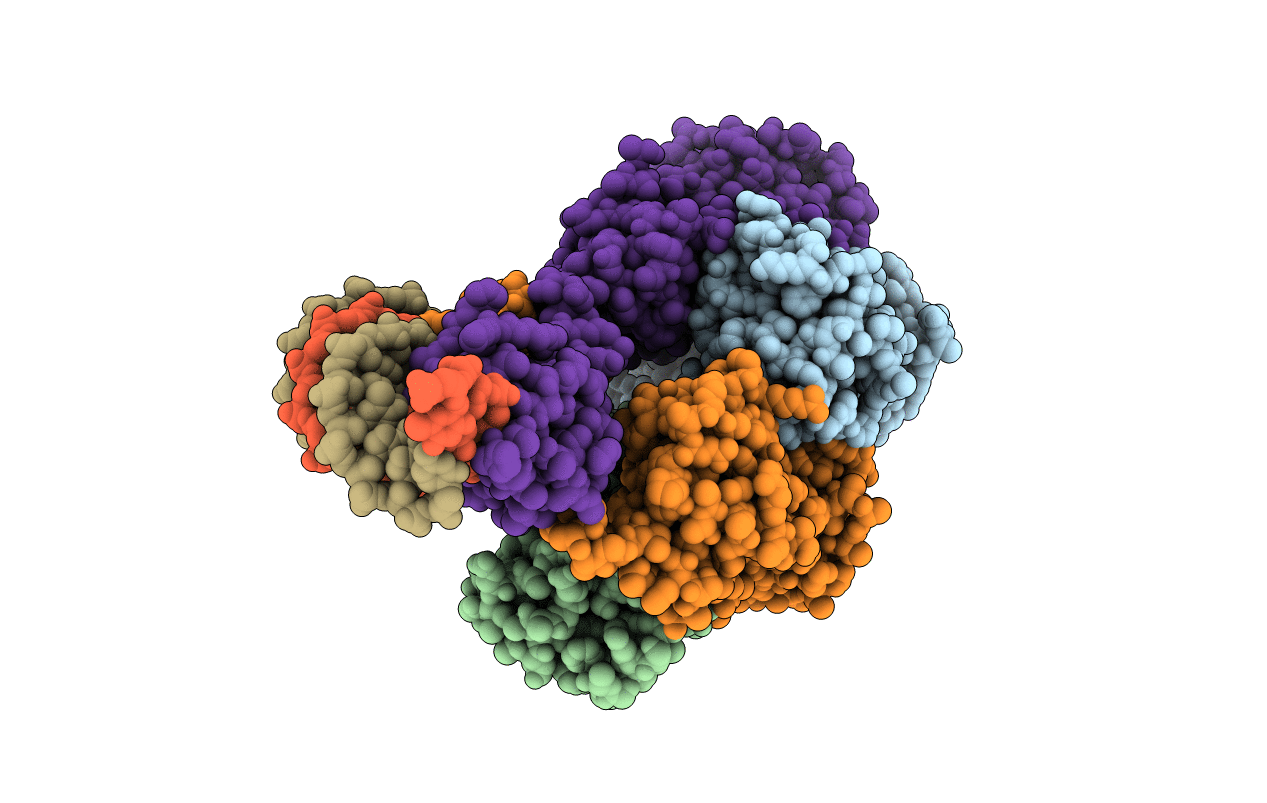 7D98 image