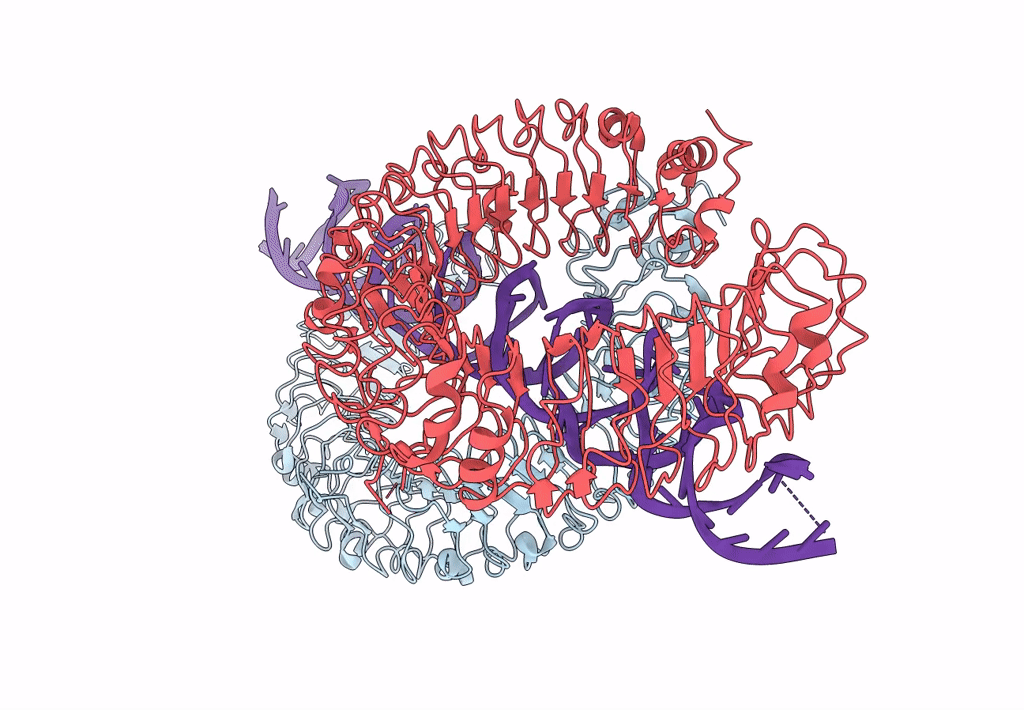 7DA7 image