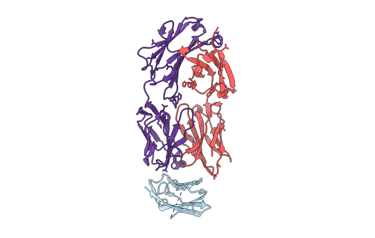 7DAA image