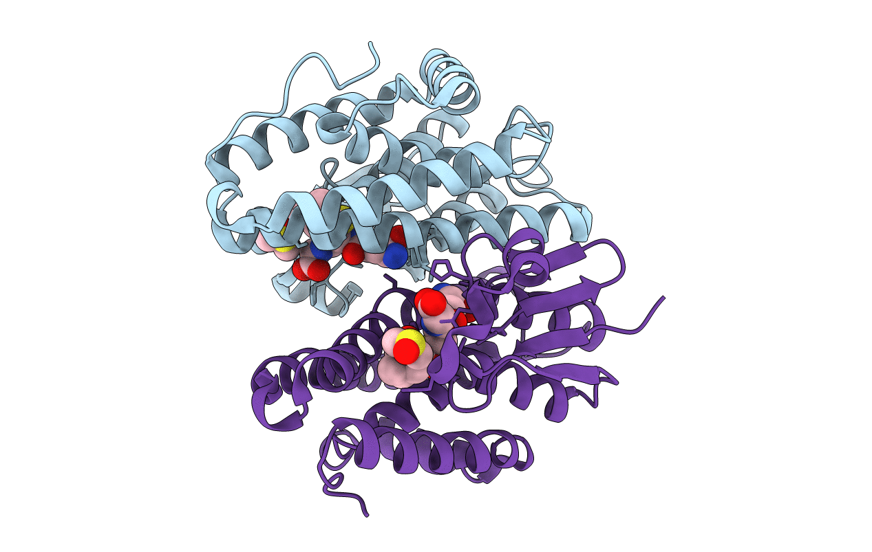 7DB2 image