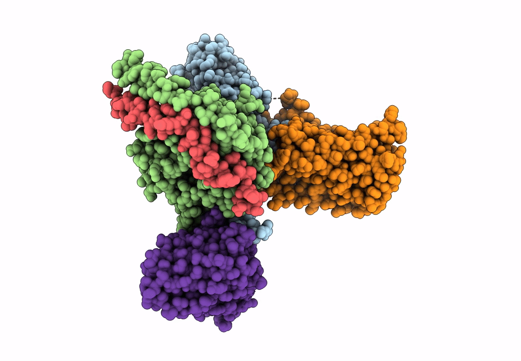 7DB6 image