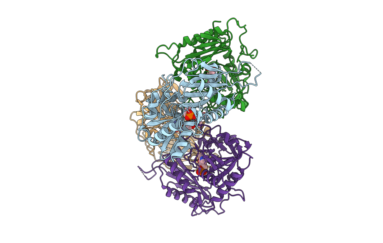 7DBE image