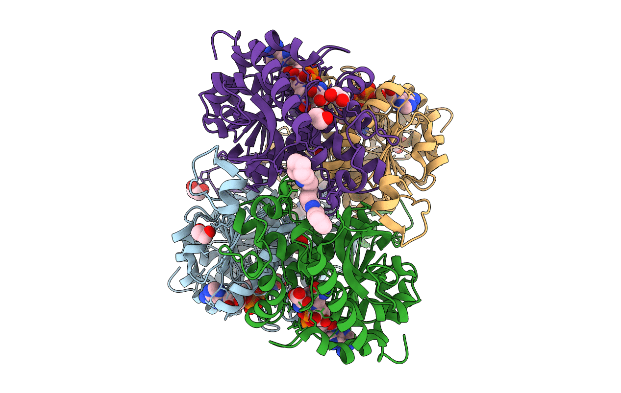 7DBJ image