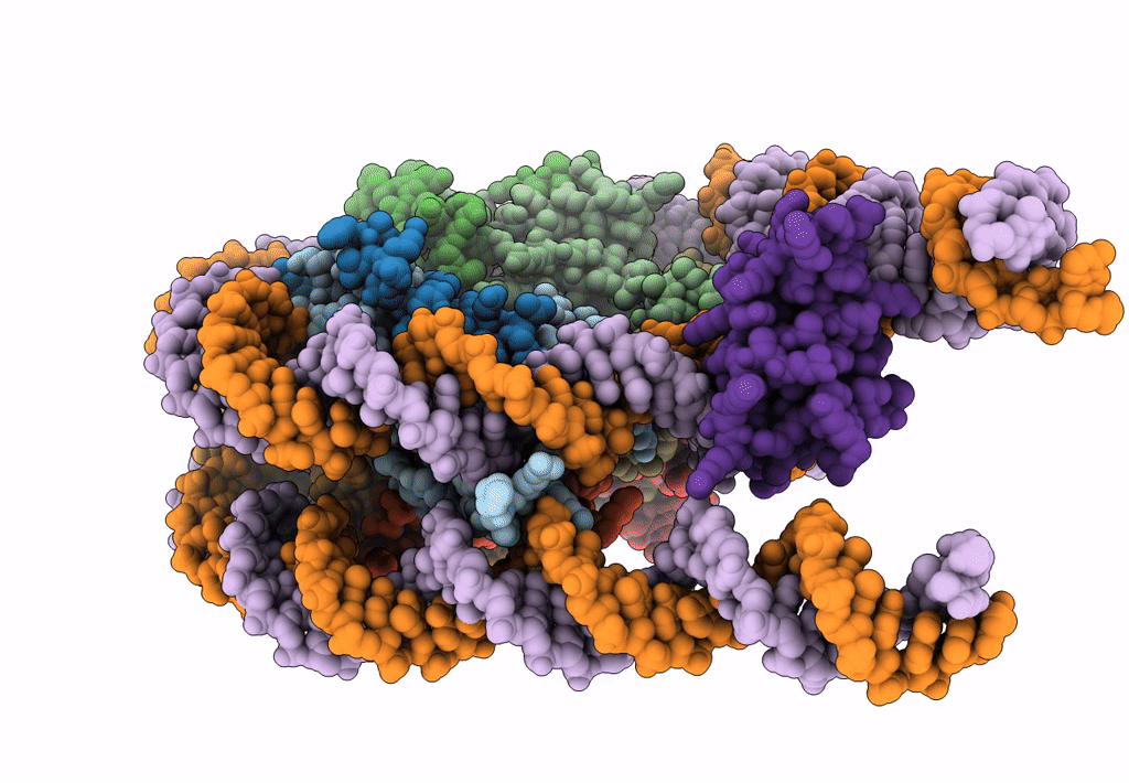 7DBP image