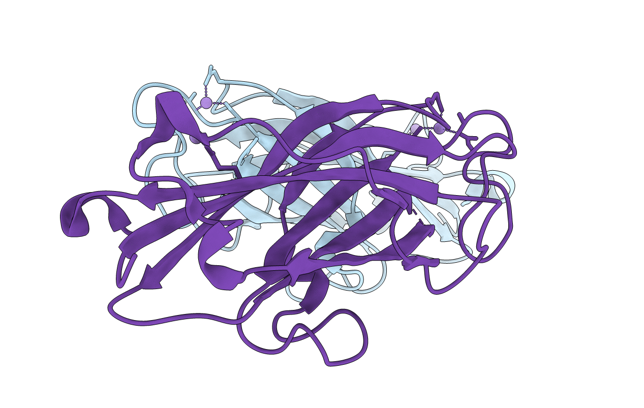 7DBT image