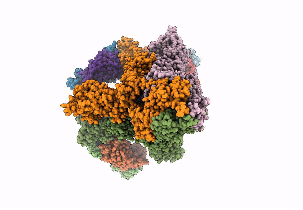 7DCC image