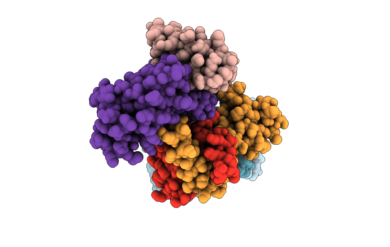 7DCD image