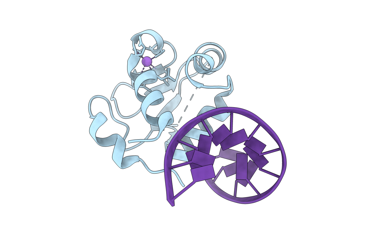 7DCI image