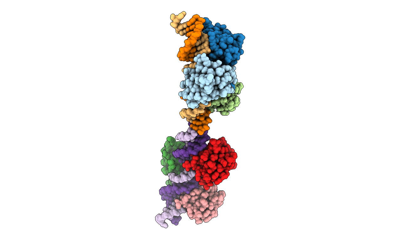 7DCT image