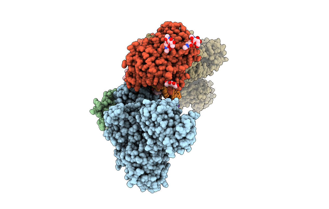 7DDI image