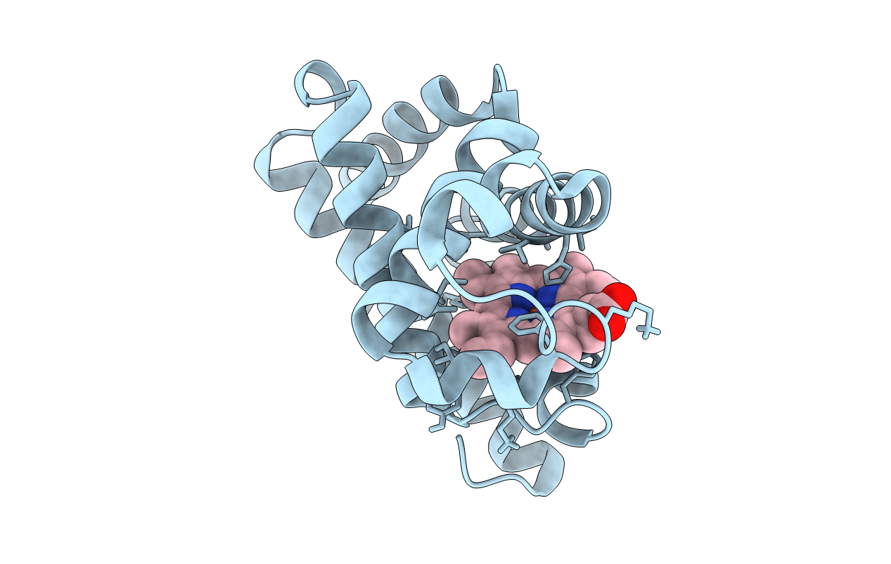 7DDS image